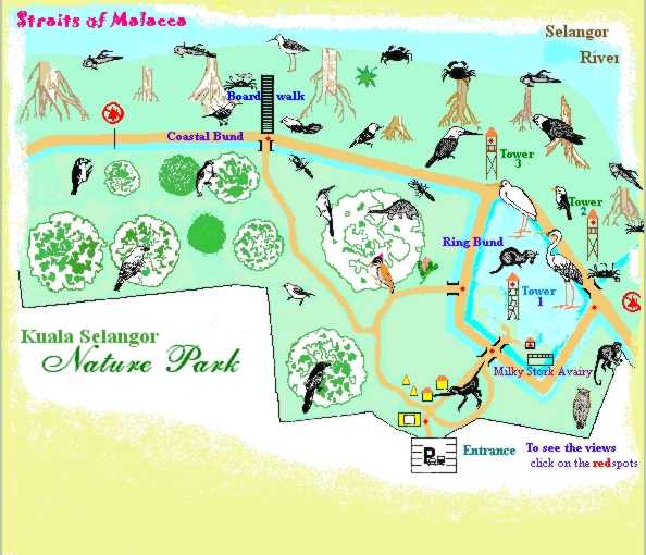 Kuala Selangor Nature Park's Map